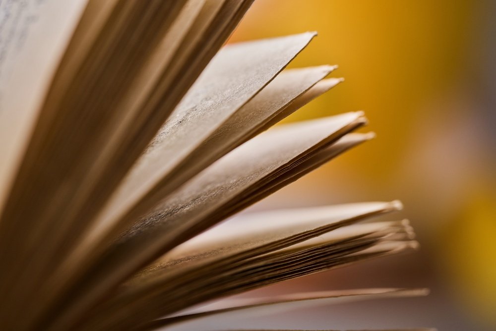 Оборот книжной розницы в России снизился на 5,1% за первое полугодие