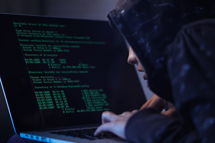 Атака на IDC Frontier нарушила работу 495 компаний и властных сайтов в Японии